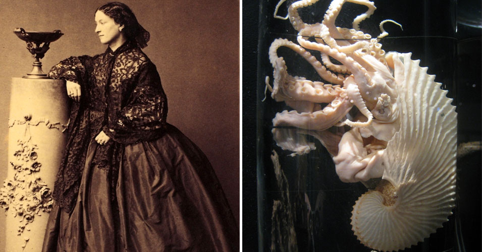 Only the Clothes On Her Back: Clothing and the Hidden History of Power in  the 19th Century